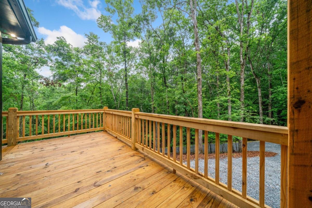 241 Lemmon Lane Ellijay - 21