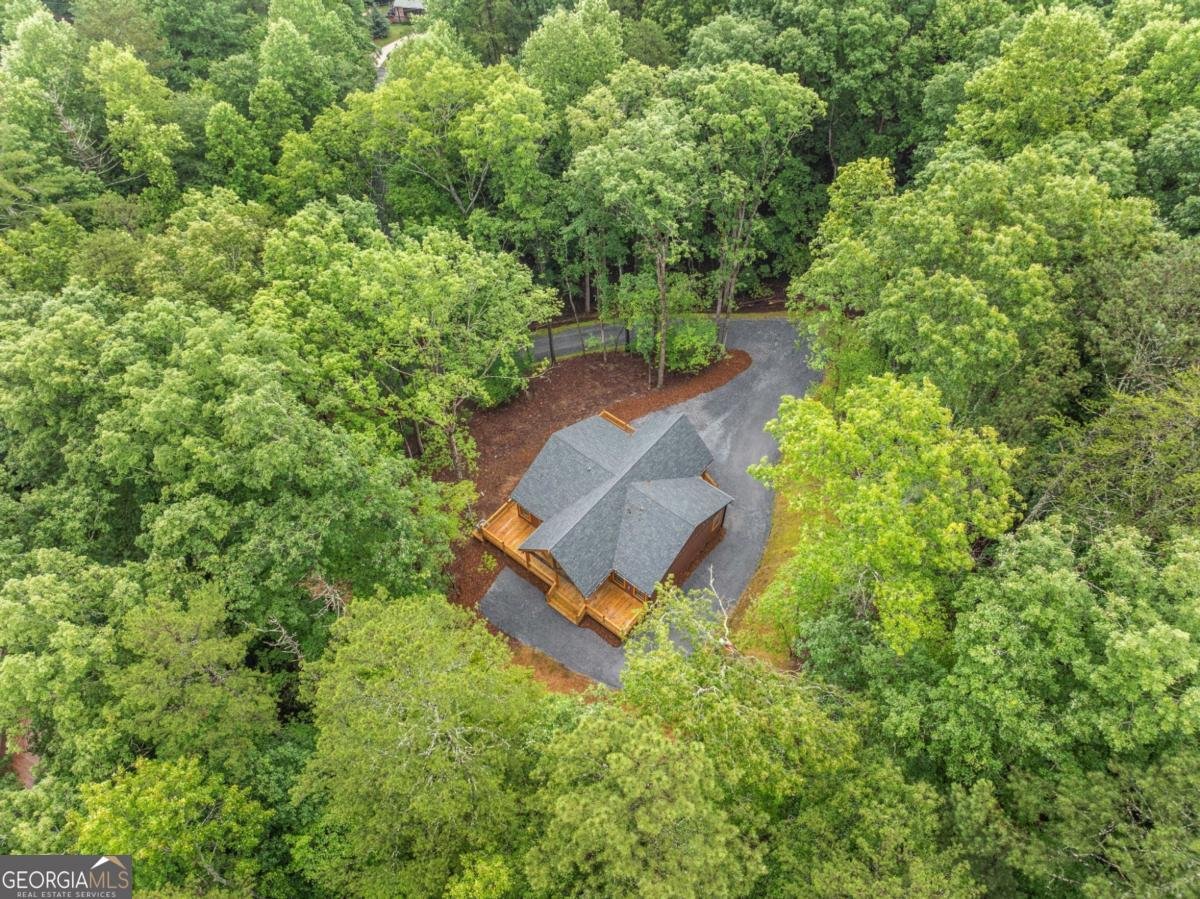 241 Lemmon Lane Ellijay - 33