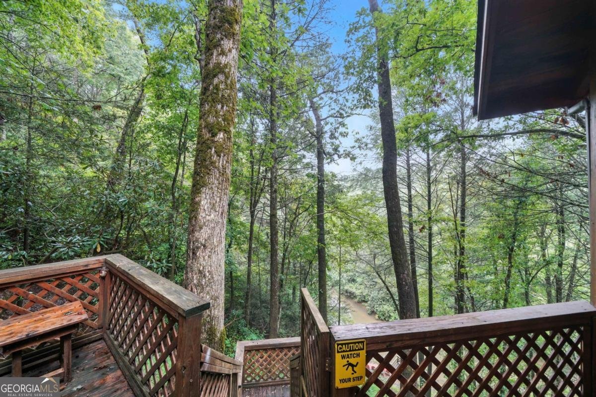 425 River Bend Court Ellijay - 15