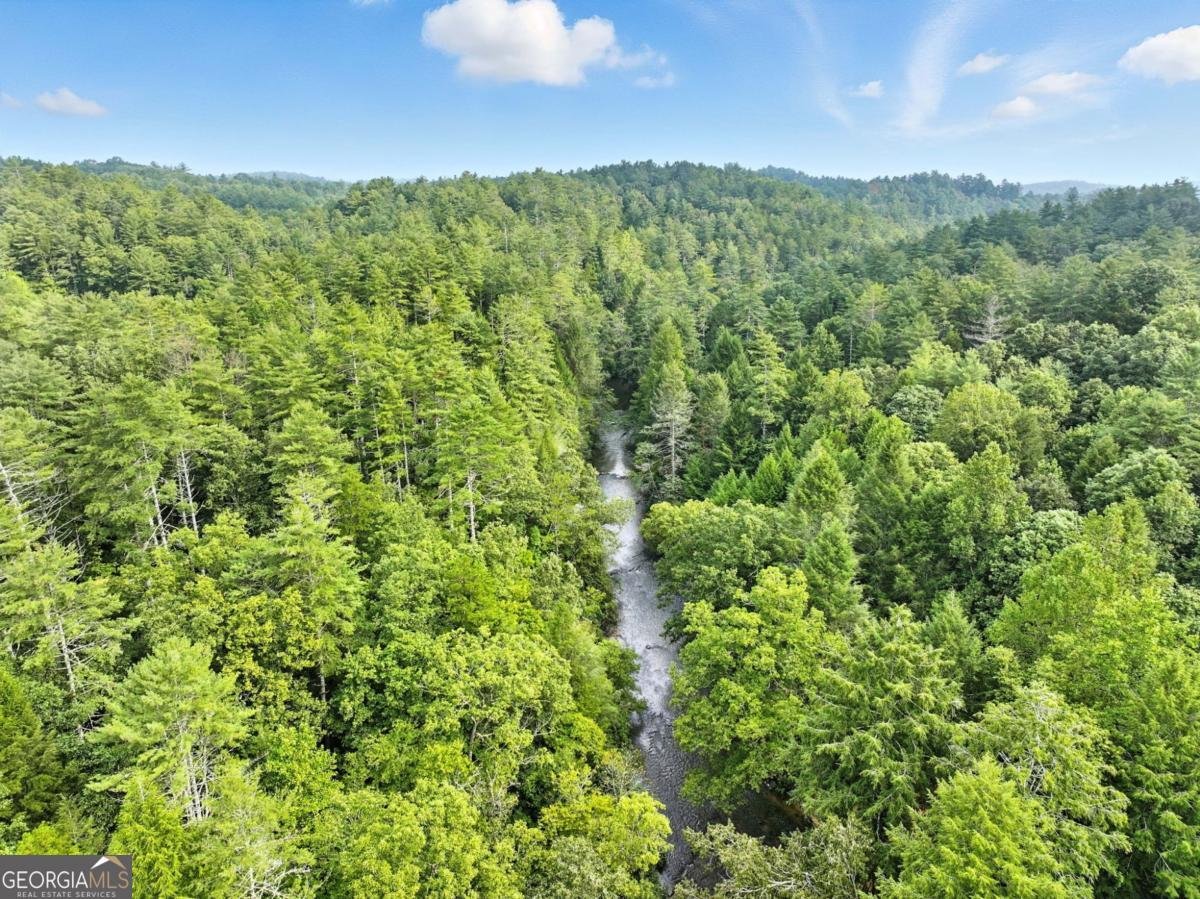 425 River Bend Court Ellijay - 26