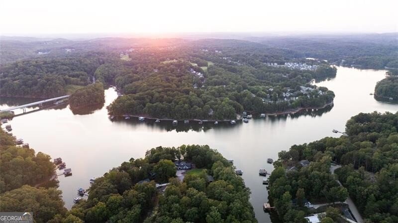 233 Holly Drive Dawsonville - 51