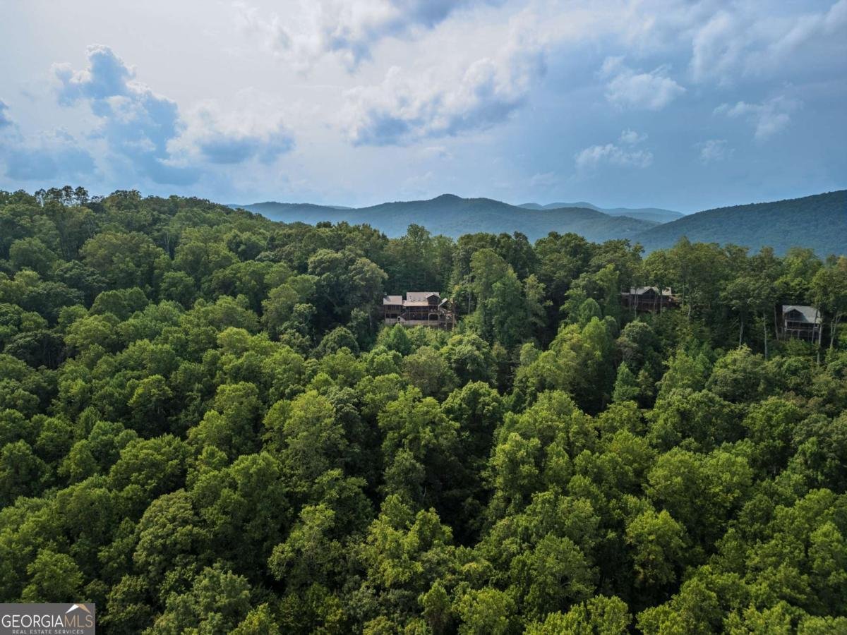 851 Moreland Drive Blue Ridge - 29