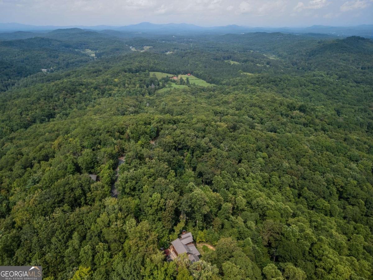 851 Moreland Drive Blue Ridge - 31