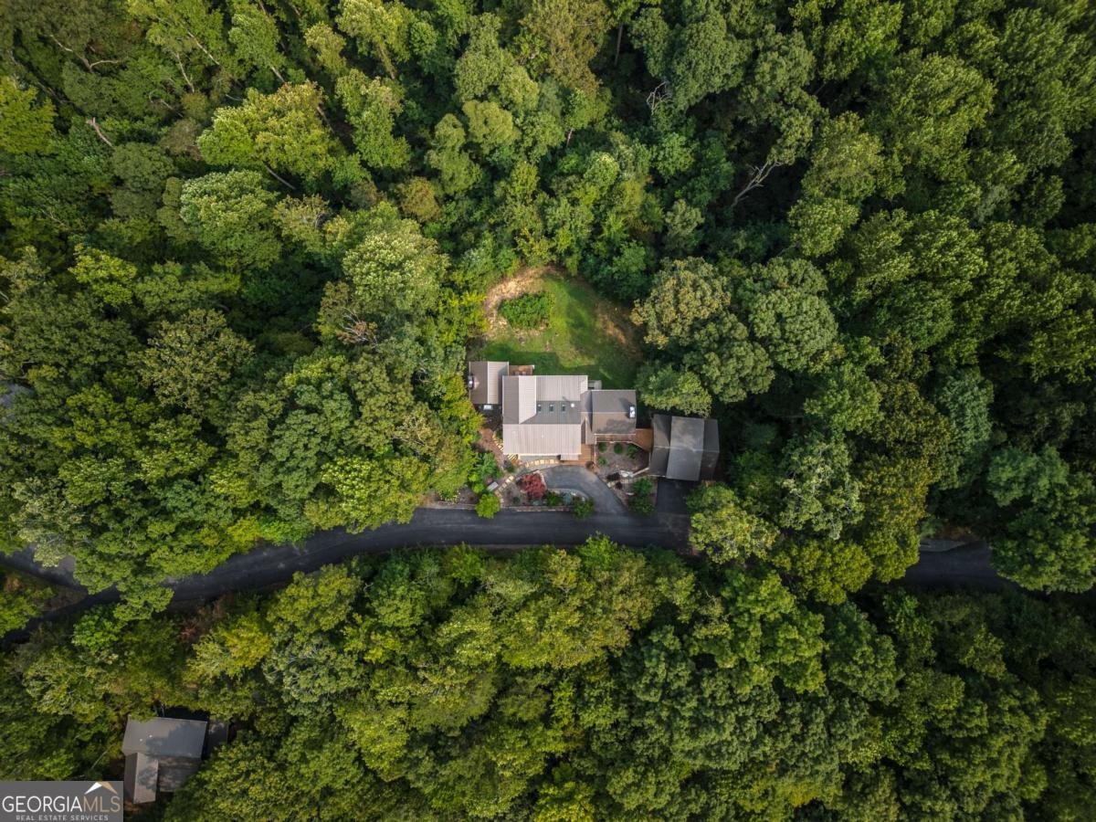 851 Moreland Drive Blue Ridge - 49