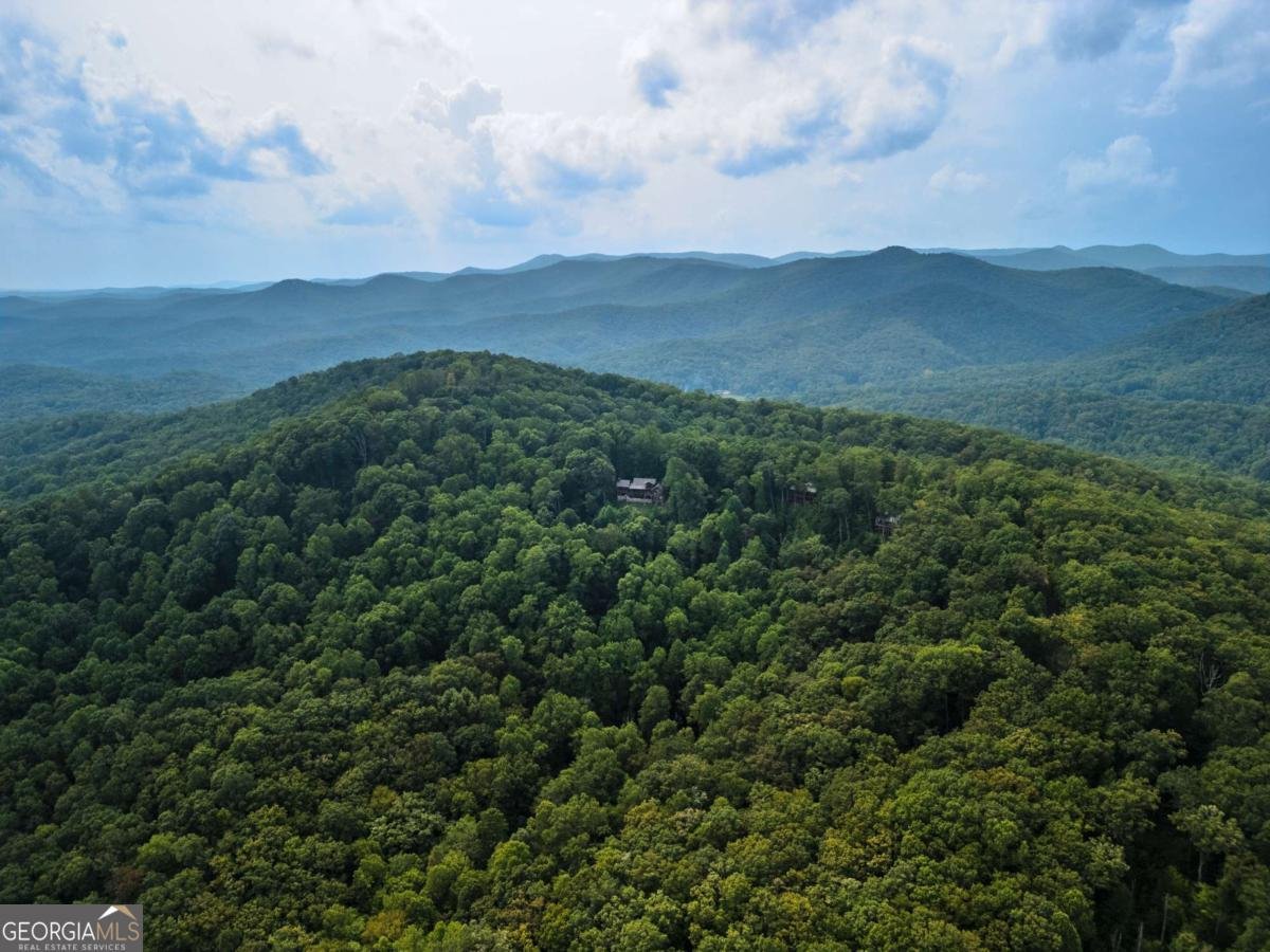 851 Moreland Drive Blue Ridge - 51