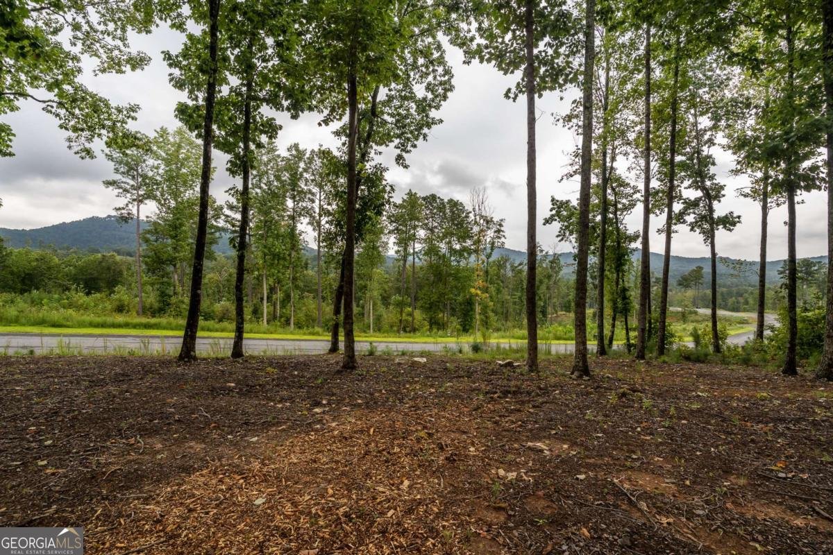 1450 Twisted Oak Road Talking Rock - 29
