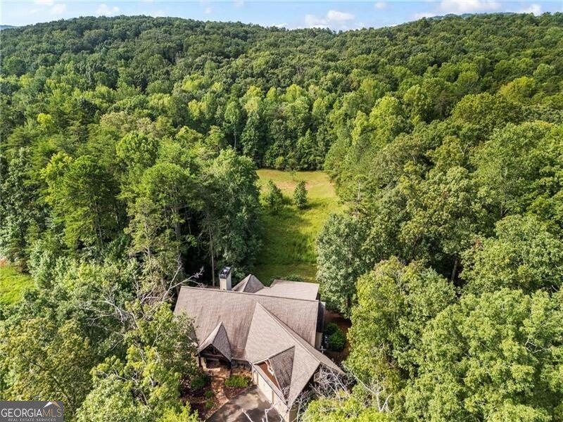 39 Bear Creek Drive Big Canoe - 64