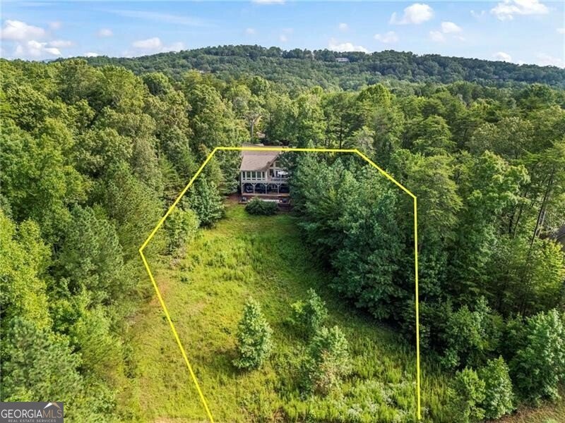 39 Bear Creek Drive Big Canoe - 66