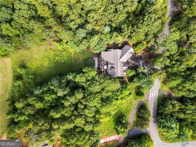 39 Bear Creek Drive Big Canoe - 67
