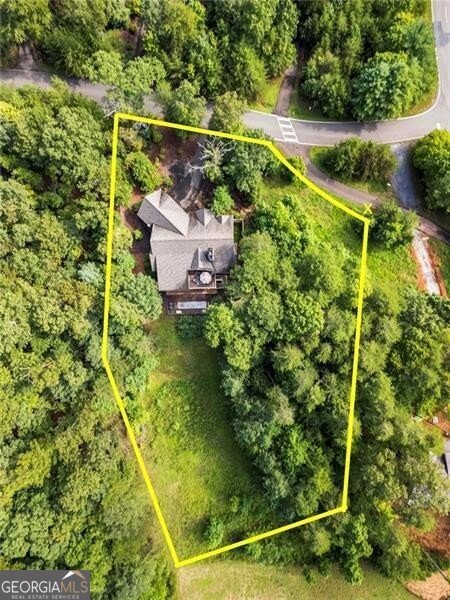 39 Bear Creek Drive Big Canoe - 68