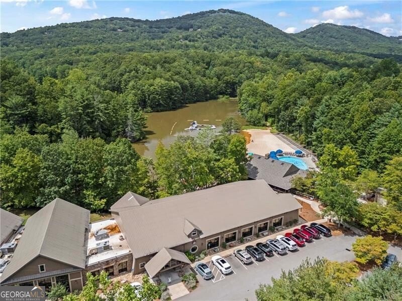 39 Bear Creek Drive Big Canoe - 69