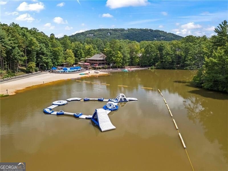 39 Bear Creek Drive Big Canoe - 72