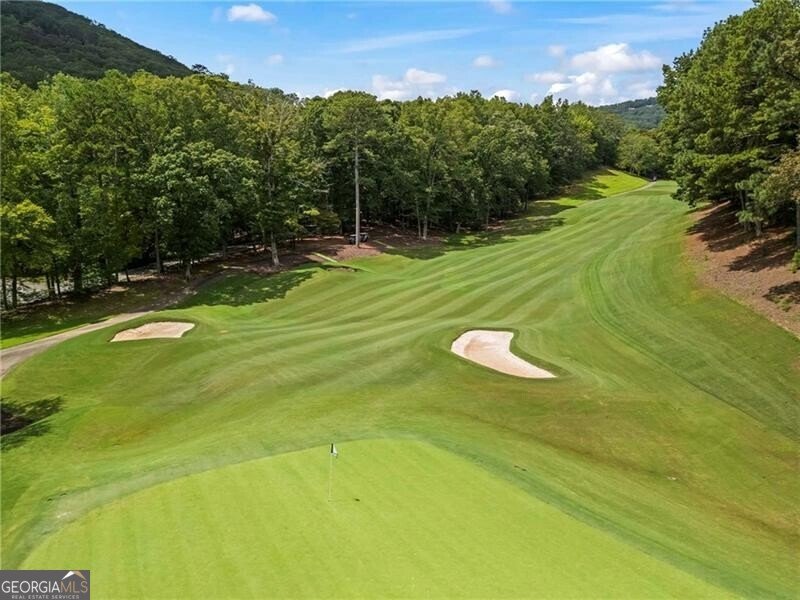 39 Bear Creek Drive Big Canoe - 74