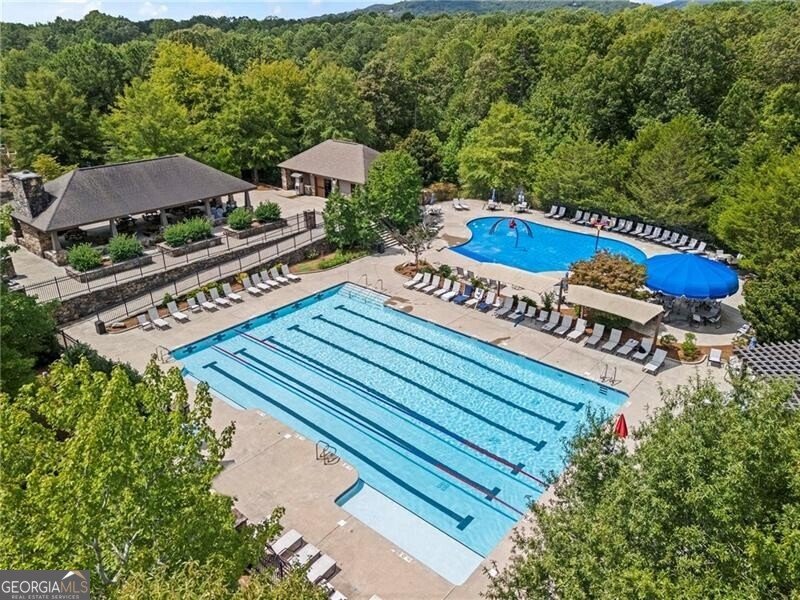 39 Bear Creek Drive Big Canoe - 80