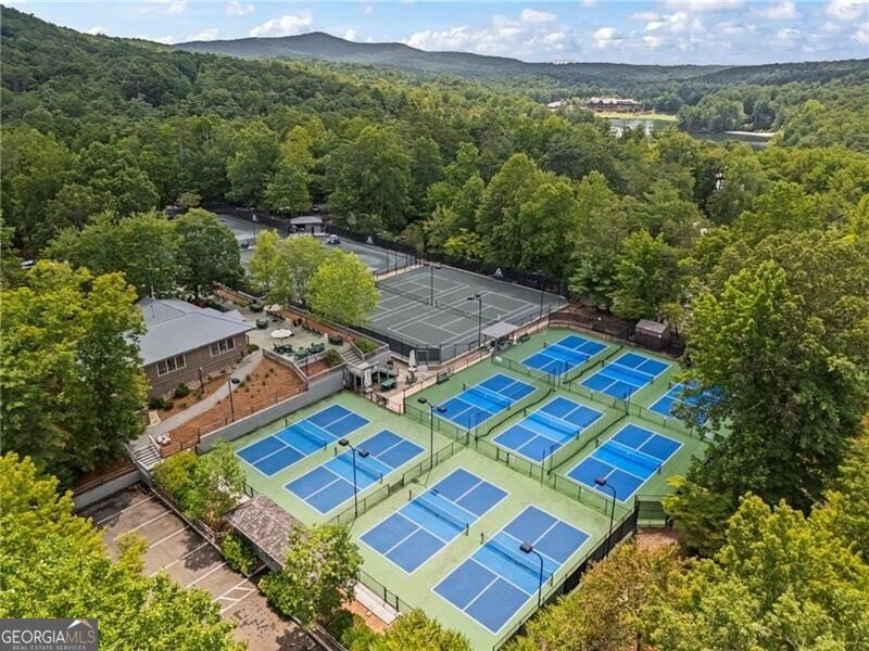 39 Bear Creek Drive Big Canoe - 81