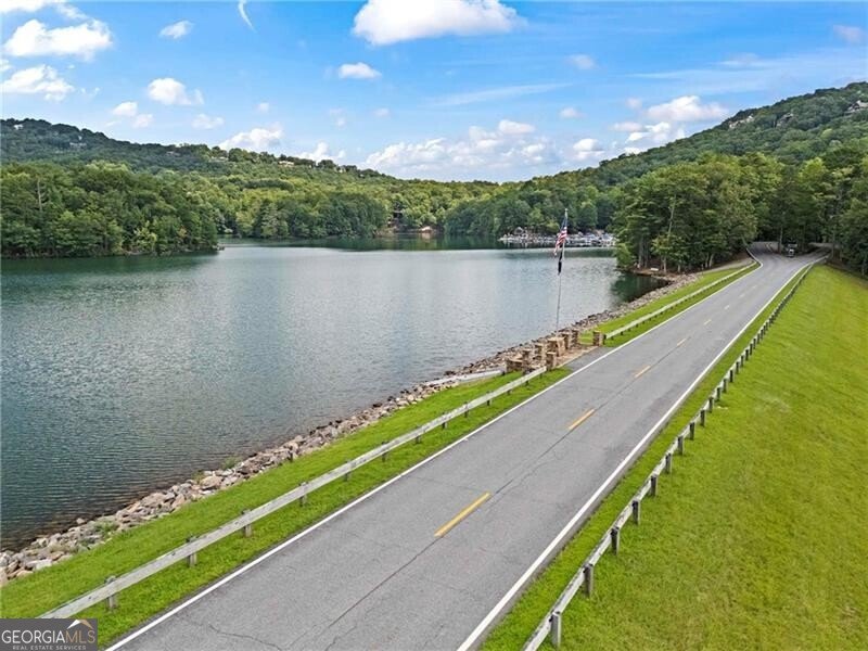 39 Bear Creek Drive Big Canoe - 83
