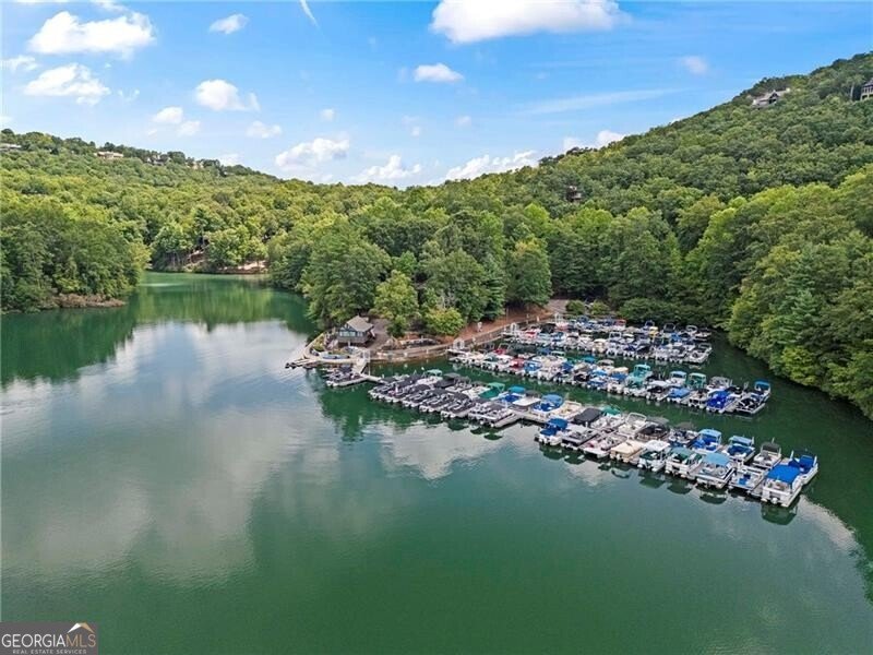 39 Bear Creek Drive Big Canoe - 84