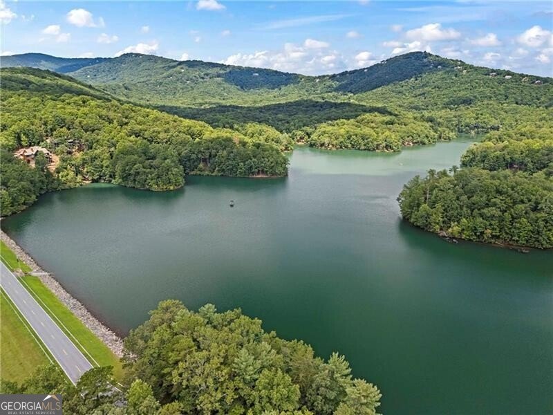 39 Bear Creek Drive Big Canoe - 86