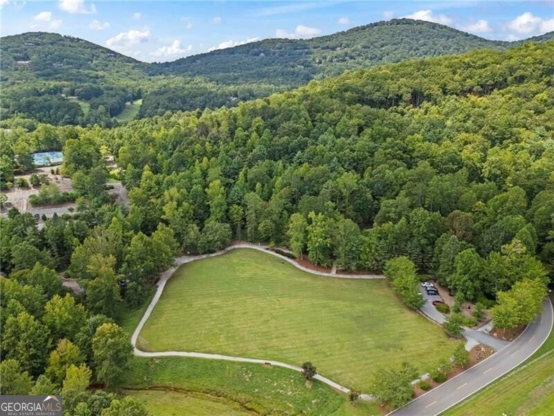 39 Bear Creek Drive Big Canoe - 87