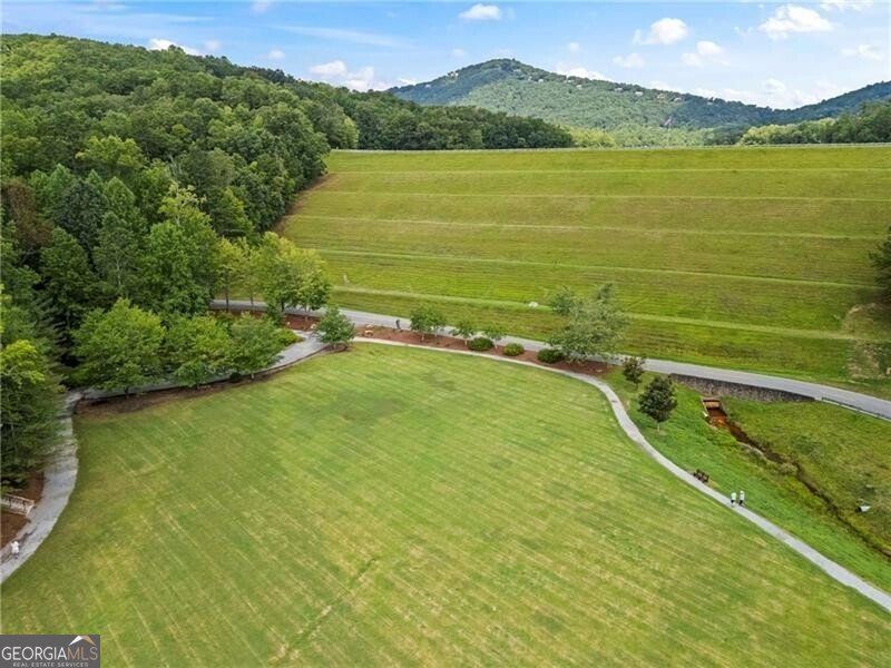 39 Bear Creek Drive Big Canoe - 88