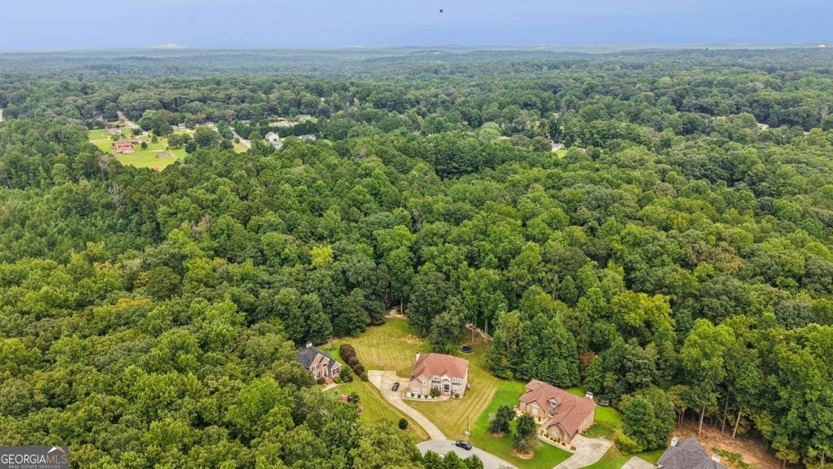 216 Johns Creek Lane Stockbridge - 39