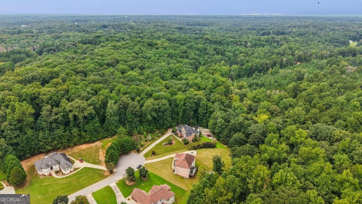 216 Johns Creek Lane Stockbridge - 41