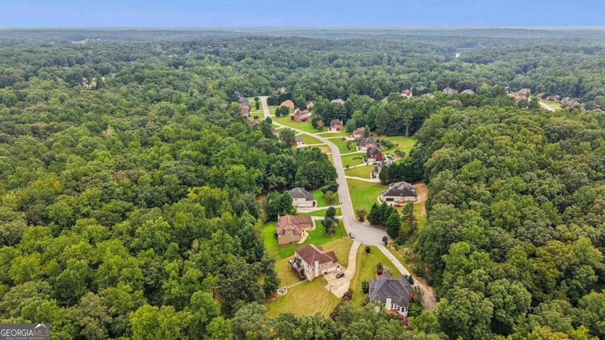 216 Johns Creek Lane Stockbridge - 42