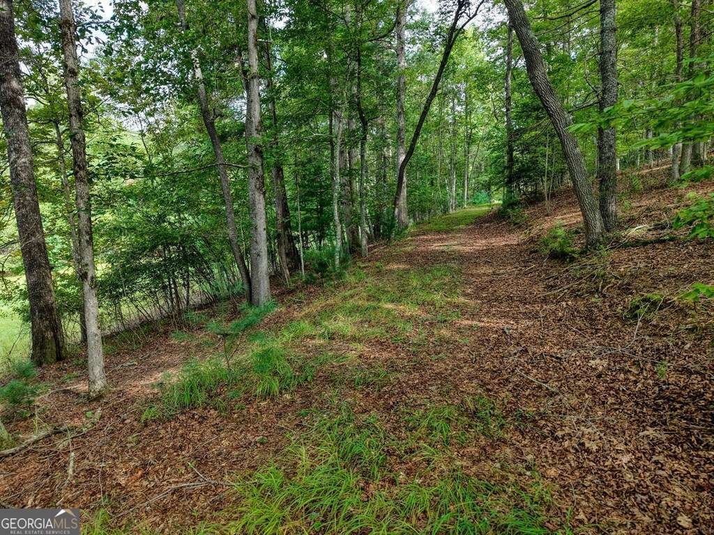 500 Lola Mae Way Morganton - 15