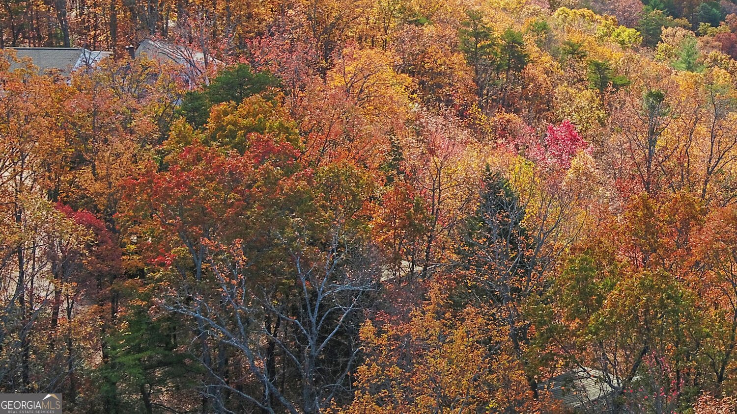 434 Emerald Ridge Dahlonega - 20