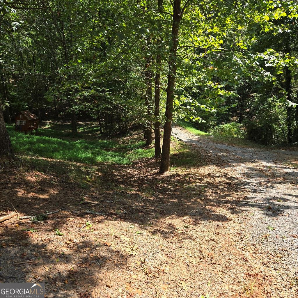162 Timberwood Drive Ellijay - 3