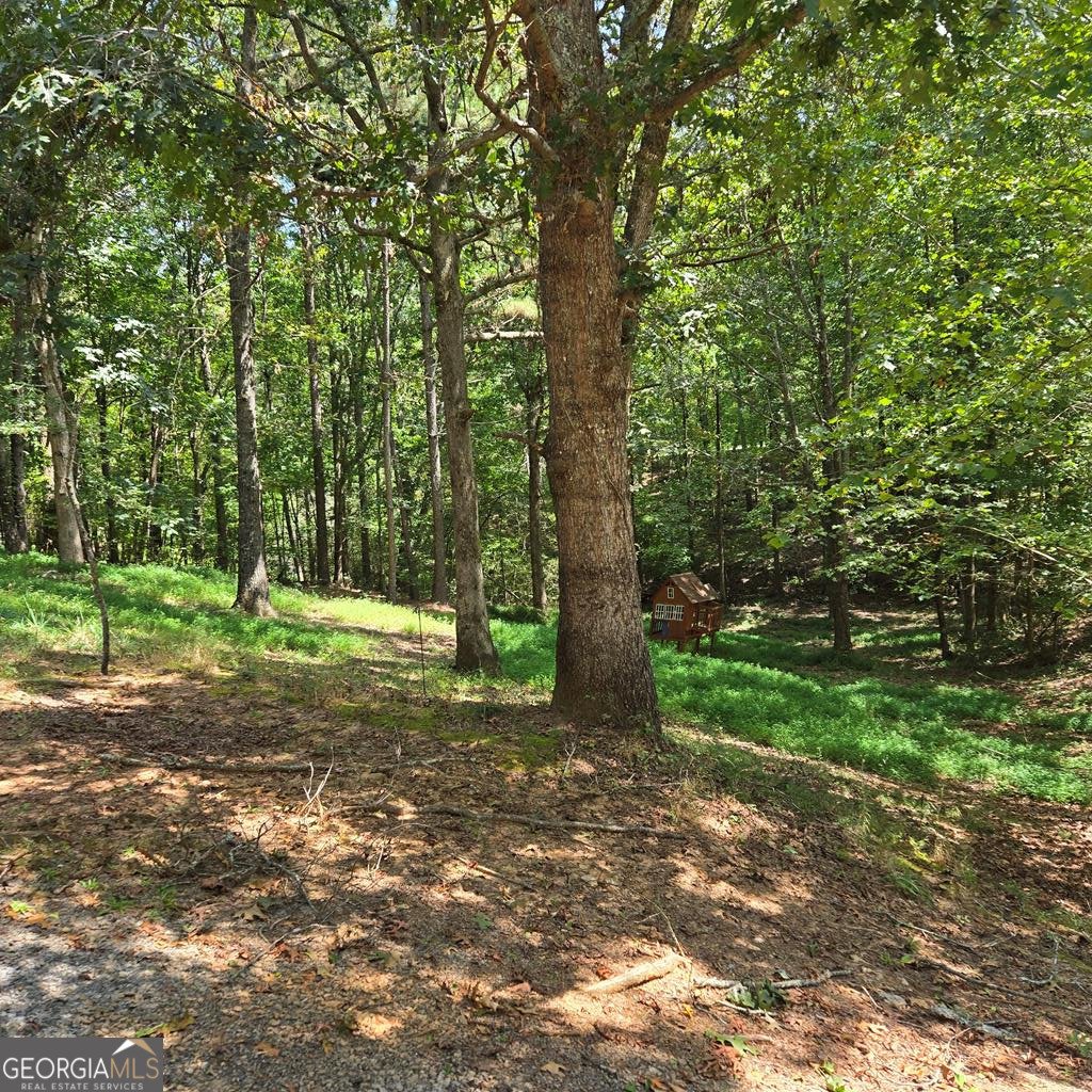 162 Timberwood Drive Ellijay - 4