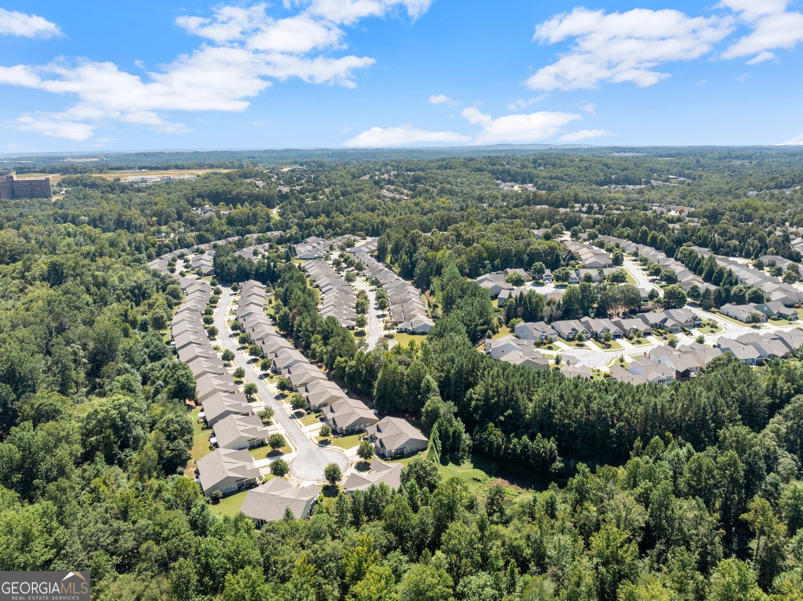 6247 LONGLEAF Drive Hoschton - 29