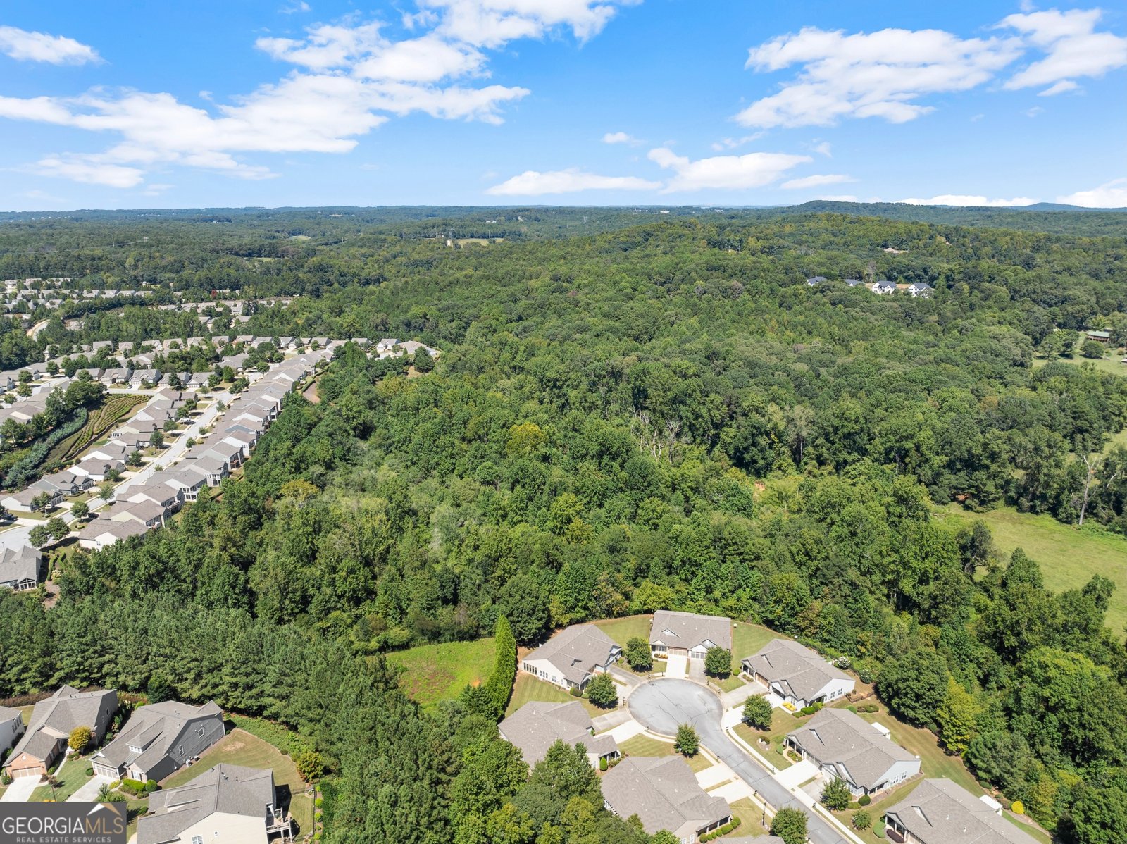 6247 LONGLEAF Drive Hoschton - 33
