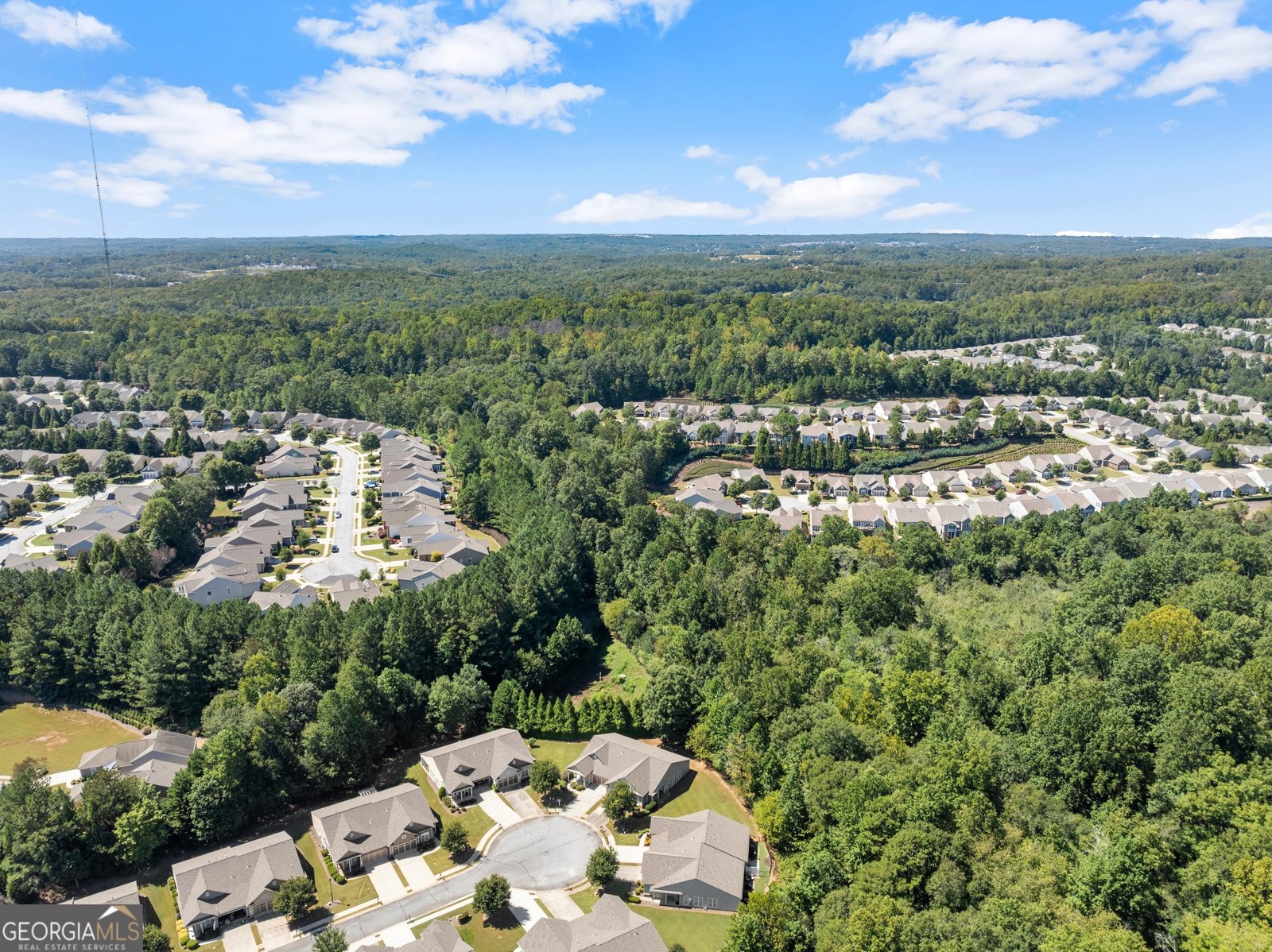 6247 LONGLEAF Drive Hoschton - 35