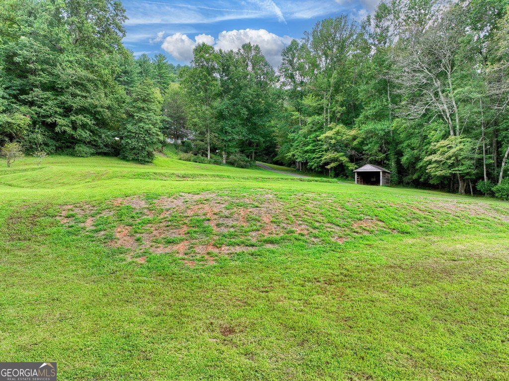 1362 Cherry Log Street Cherry Log - 5
