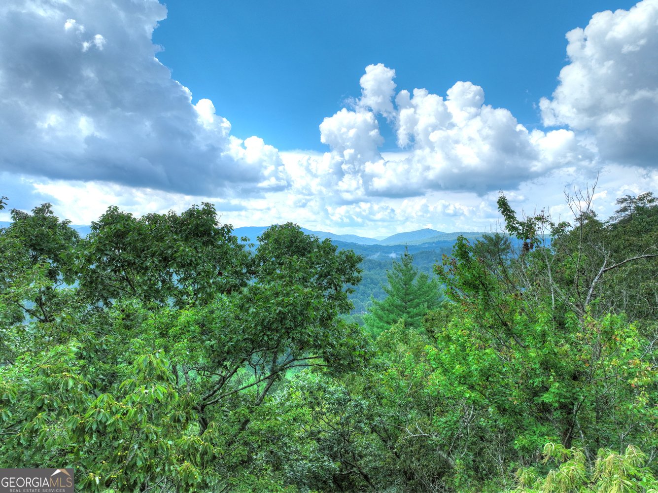 1362 Cherry Log Street Cherry Log - 55