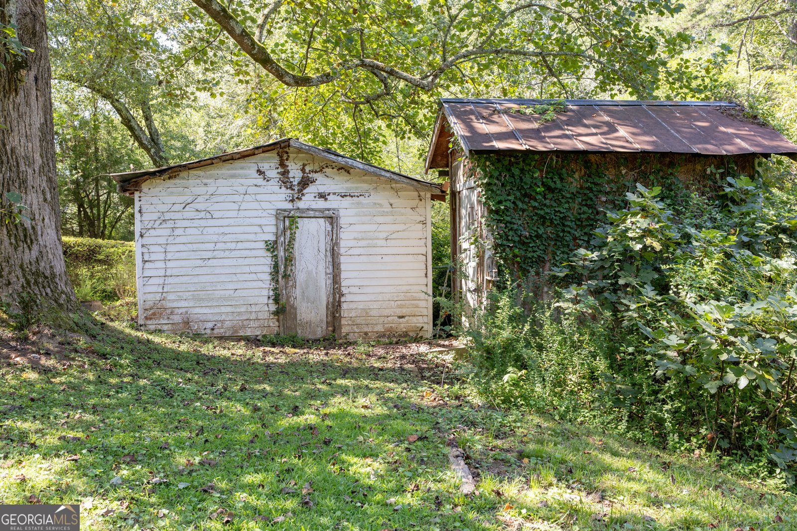 361 Hist Highway 441 Demorest - 25