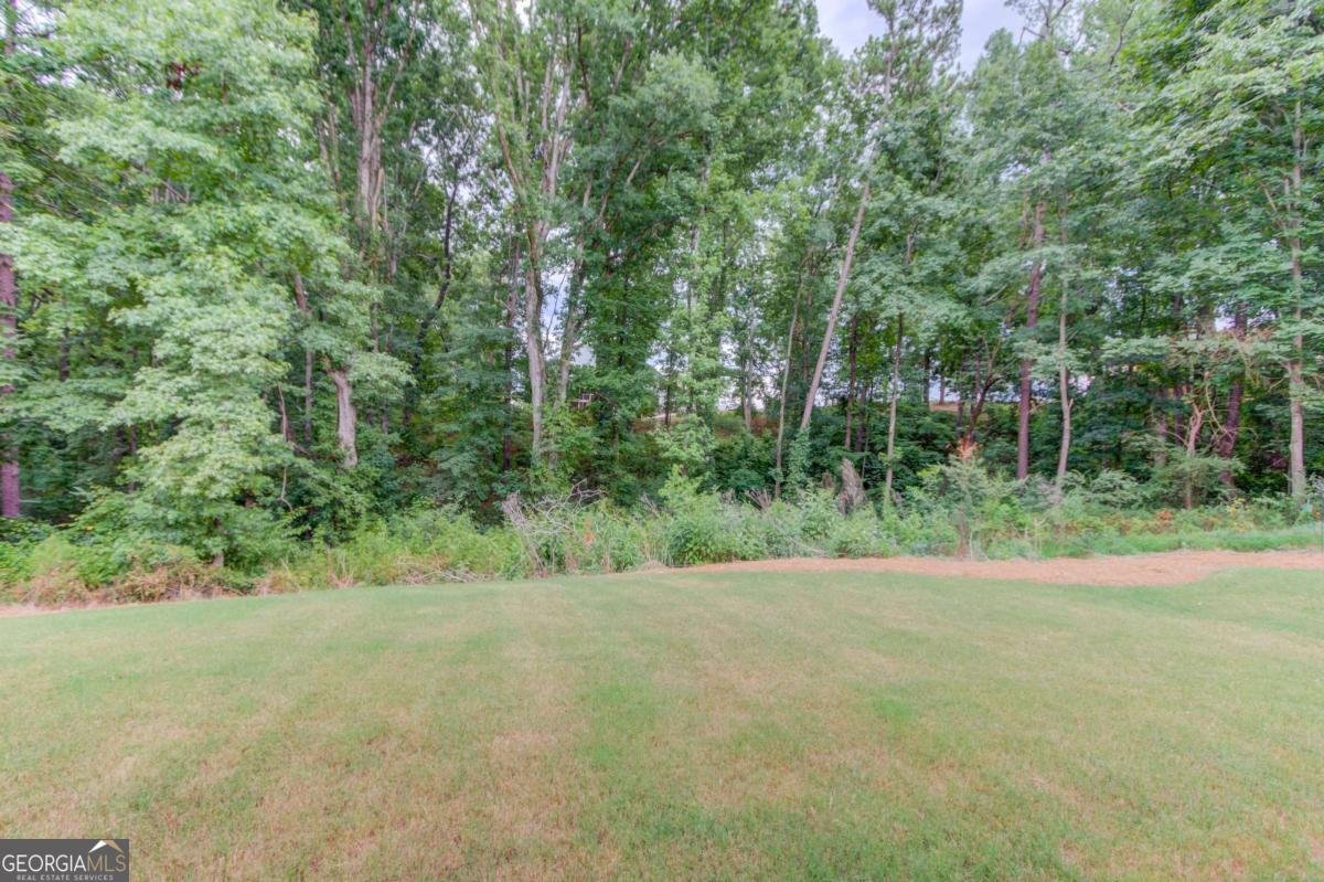 5306 Weeping Creek Trail Flowery Branch - 24