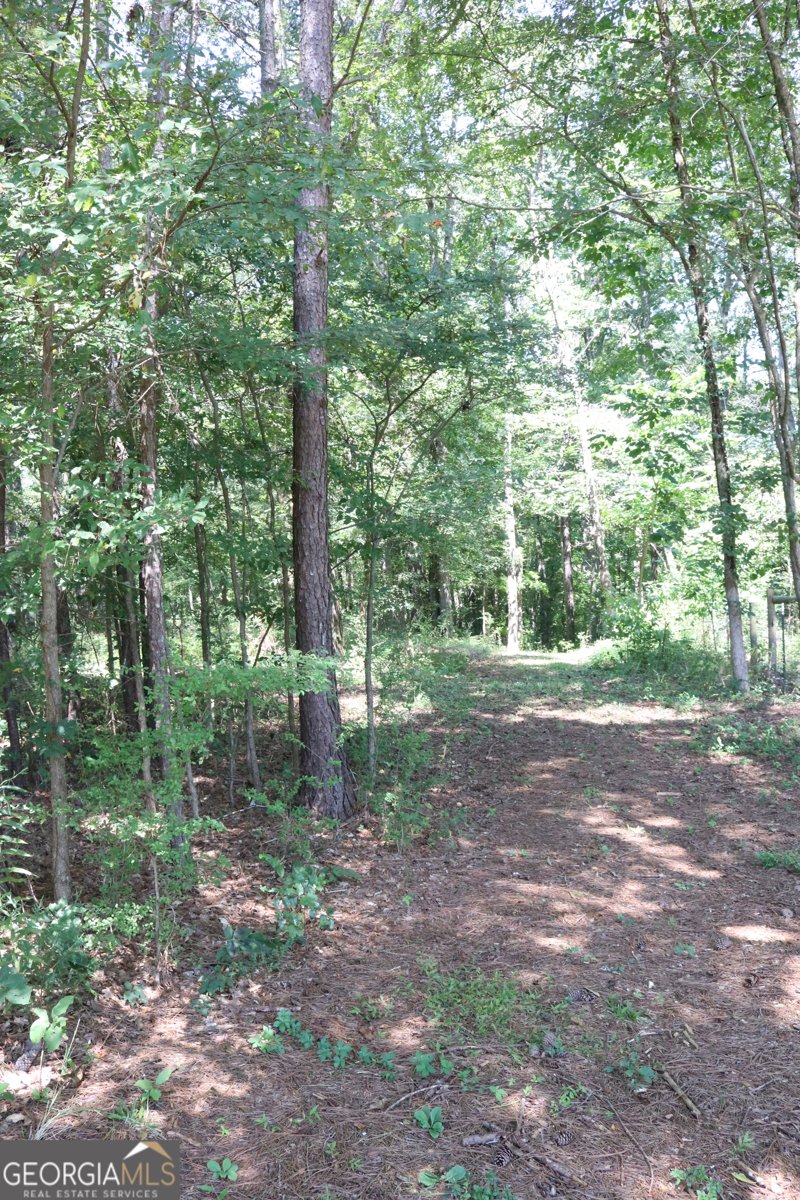 3854 Buckhead Road Madison - 15