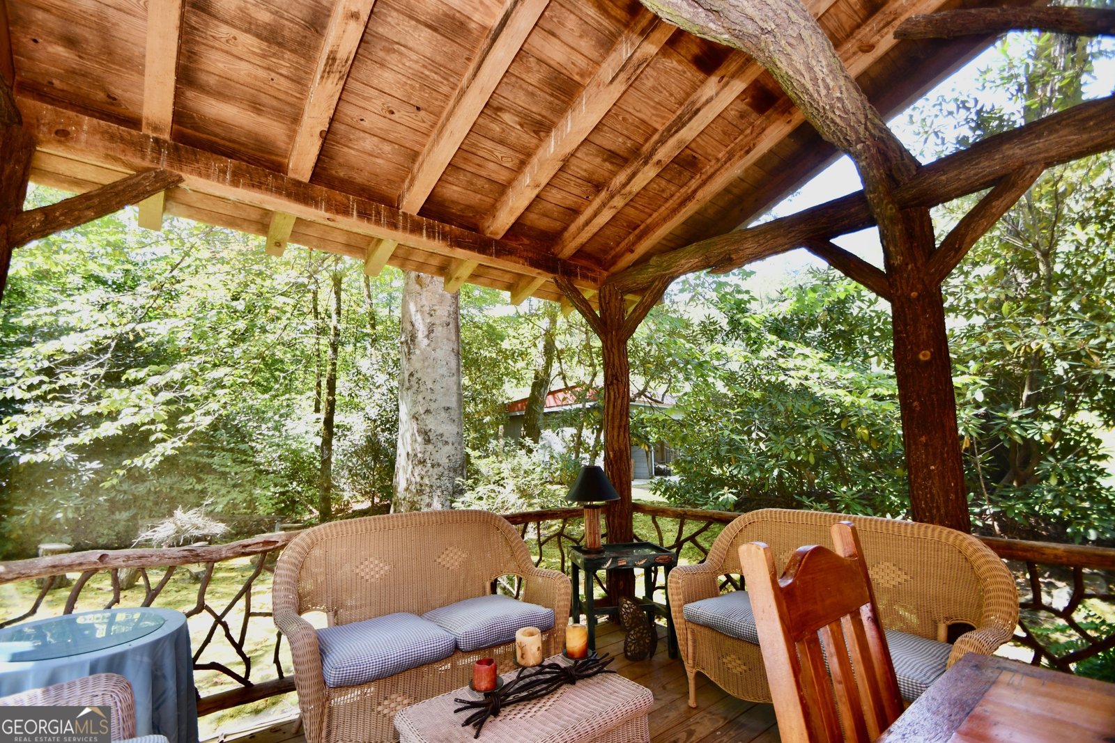 605 Wildcat Road Clarkesville - 10
