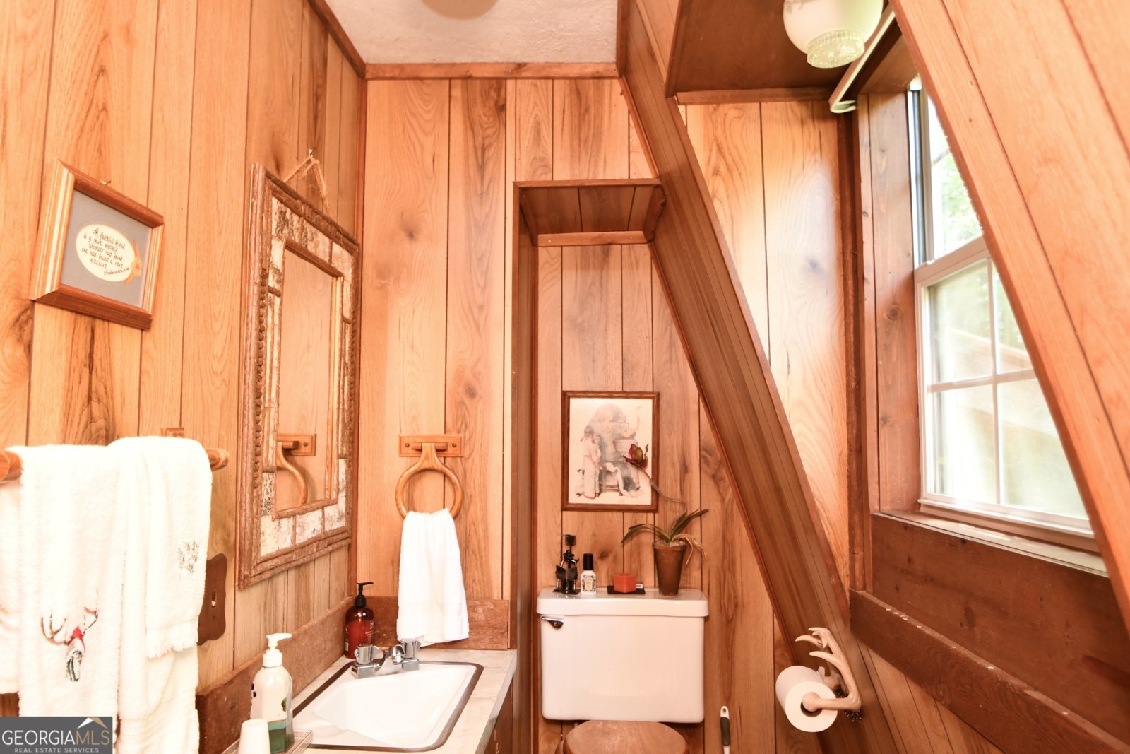 605 Wildcat Road Clarkesville - 29