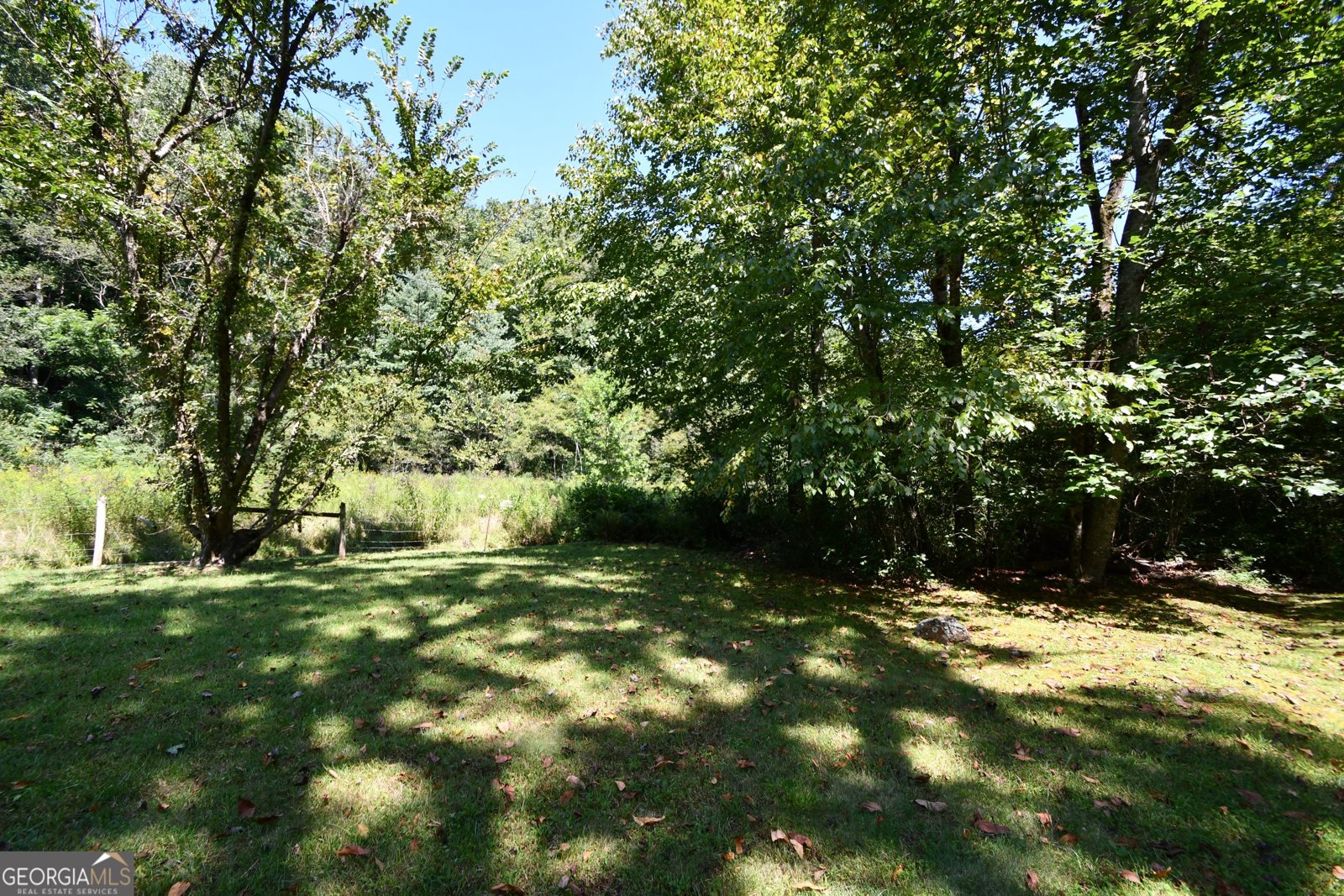 605 Wildcat Road Clarkesville - 43