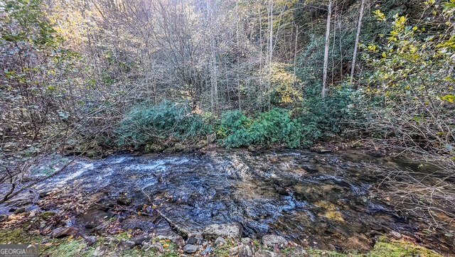 605 Wildcat Road Clarkesville - 50