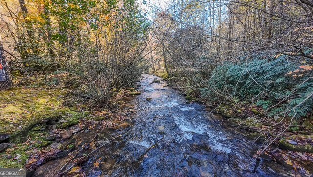 605 Wildcat Road Clarkesville - 51