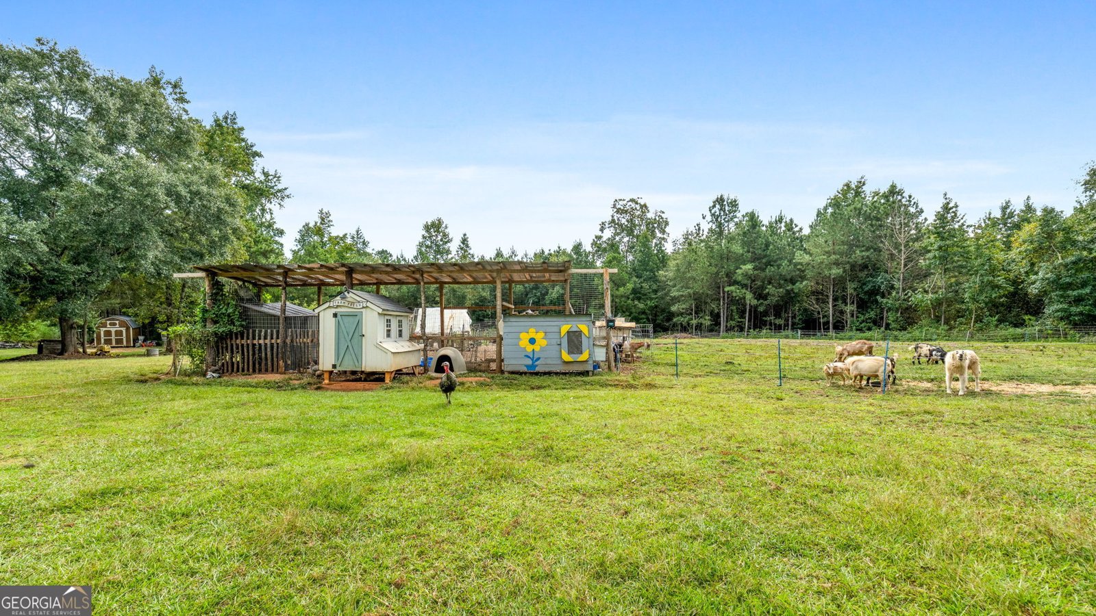 705 South Bethany Road McDonough - 10