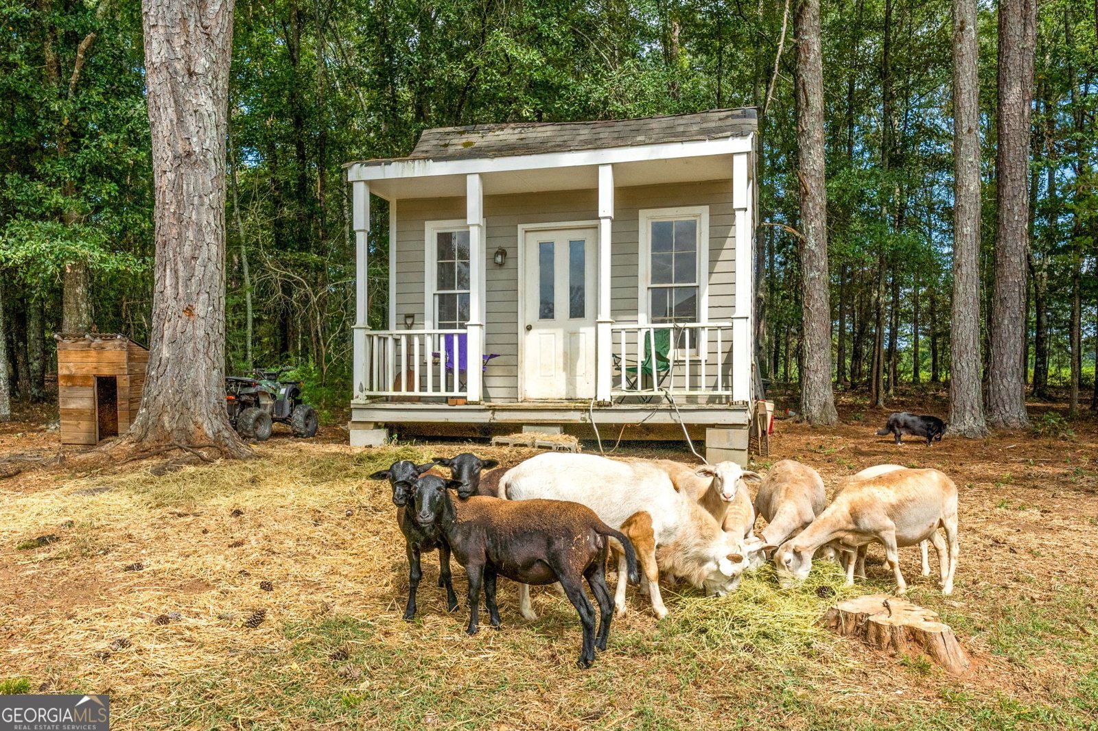 705 South Bethany Road McDonough - 19