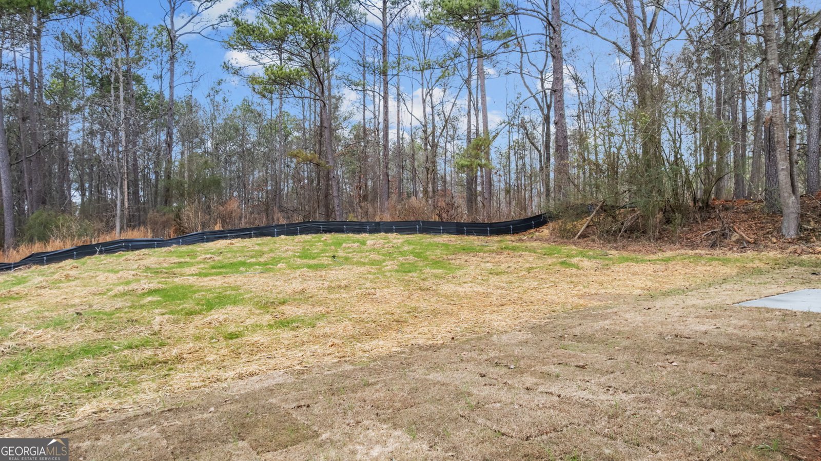 123 Clemit Harris Road Newnan - Photo 26