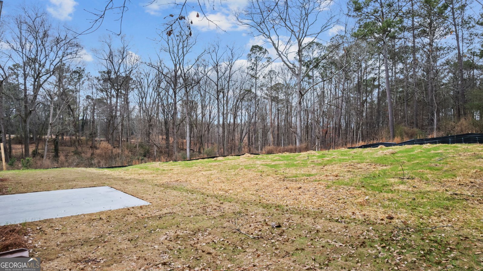 123 Clemit Harris Road Newnan - Photo 27