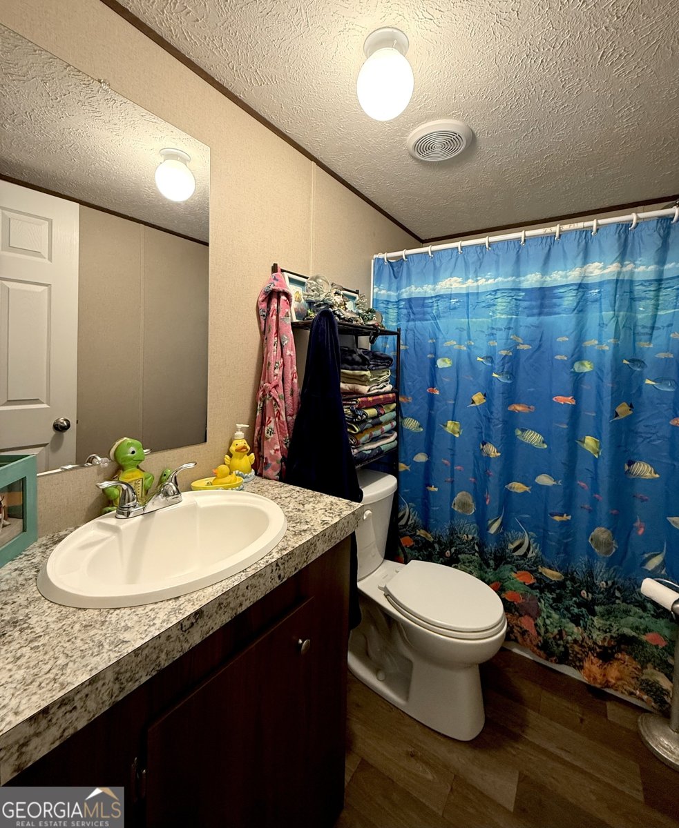 305 Cool Springs Road Clarkesville - 17