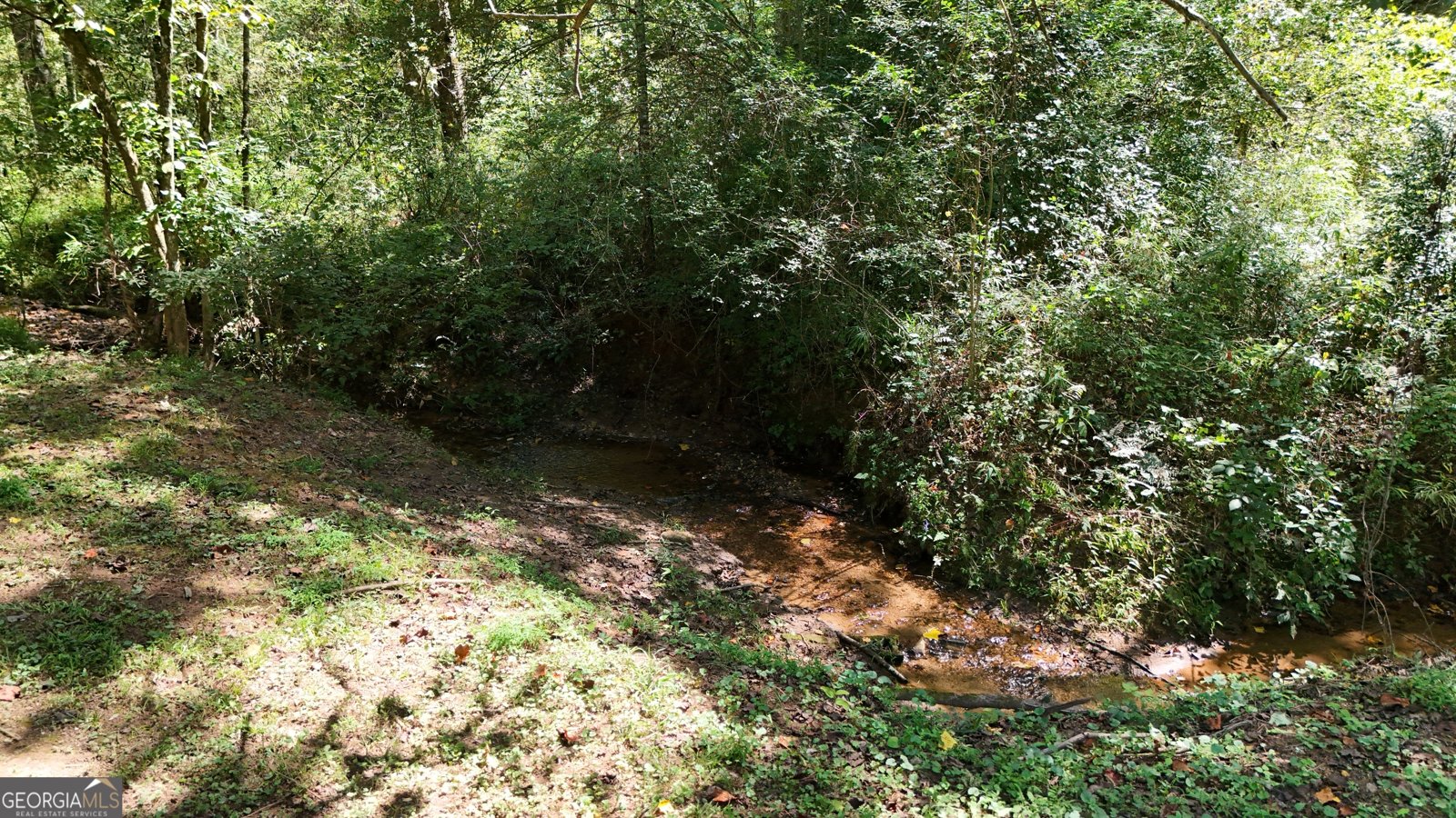 305 Cool Springs Road Clarkesville - 23